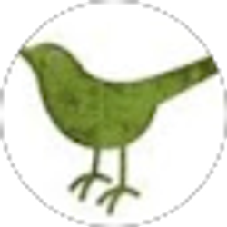 Profile photo of Jane Young