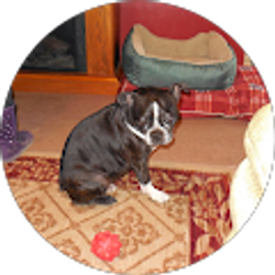 Profile photo of Jonathan Helton