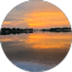 Profile photo of Caleb Lau