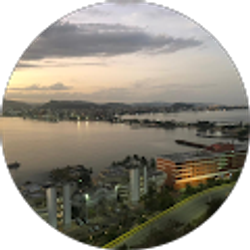 Profile photo of Jose Roman