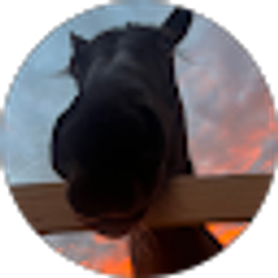 Profile photo of Mary Catherine