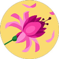 Profile photo of Vanessa Lacha