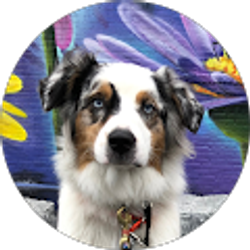 Profile photo of Oli