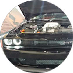 Profile photo of Warren