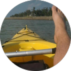 Profile photo of David Roy