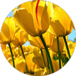 Profile photo of Eris may Artigas