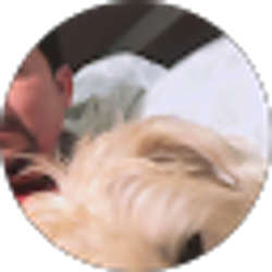 Profile photo of Rodrigo Chimbo