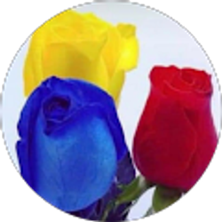 Profile photo of Farah Calvo