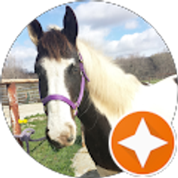 Profile photo of Sadie Novotny