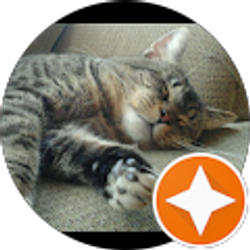 Profile photo of M Fousha