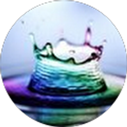 Profile photo of Courtney Chesser