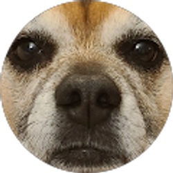 Profile photo of Evan Warren