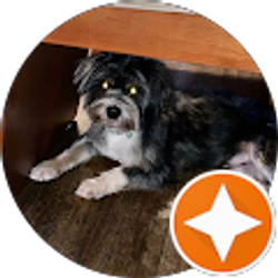 Profile photo of Shannon