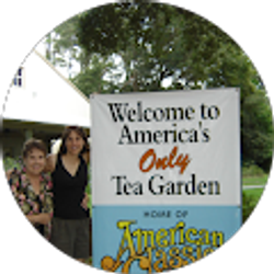 Profile photo of dawn r