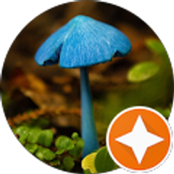 Profile photo of Alyce Liddell