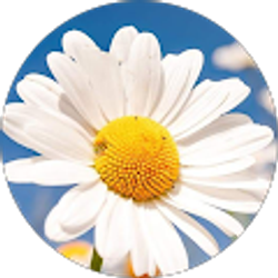 Profile photo of Ciara Lynn