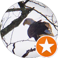 Profile photo of Theo9 9oehT