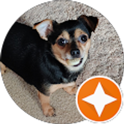 Profile photo of Lara Bowers