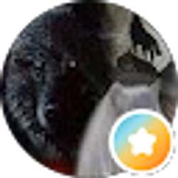 Profile photo of Chris Nichols