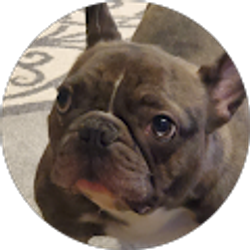 Profile photo of C Casero