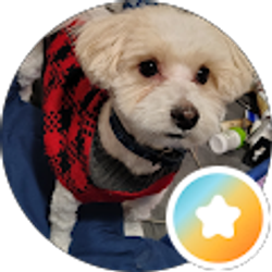 Profile photo of Bobalouie62