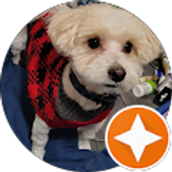 Profile photo of Bobalouie62