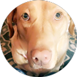 Profile photo of Halen Kline