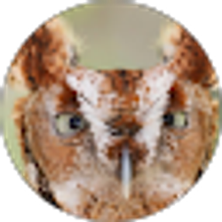 Profile photo of Jennifer Wooliscroft