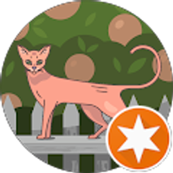 Profile photo of Nikki Wilson