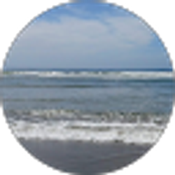 Profile photo of Natalie shev