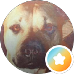 Profile photo of Nicole