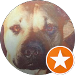 Profile photo of Nicole