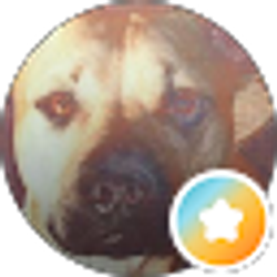Profile photo of Nicole