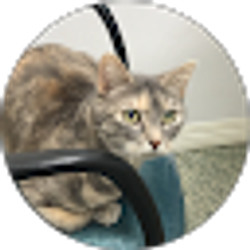 Profile photo of Siera Smith