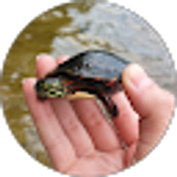 Profile photo of Megan Brown