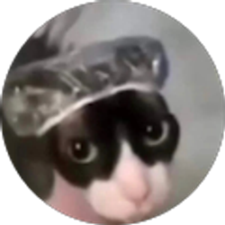 Profile photo of Kilee Pine