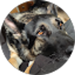 Profile photo of jamie denny