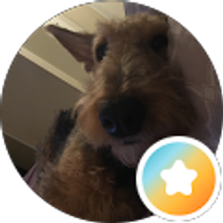 Profile photo of Leon