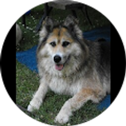 Profile photo of Melanie Hoover