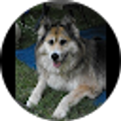 Profile photo of Melanie Hoover