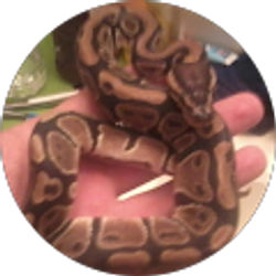 Profile photo of kenny vasquez