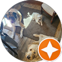 Profile photo of tim madison