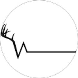 Profile photo of Dakota Fraccascia