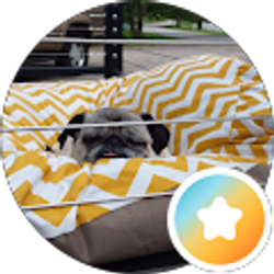 Profile photo of J H