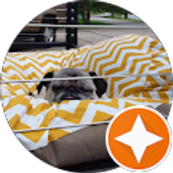 Profile photo of J H