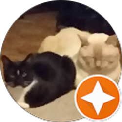 Profile photo of Florence Hill