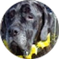 Profile photo of Mike