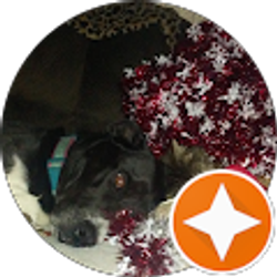 Profile photo of Robert Murphy (Bobby)