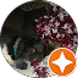 Profile photo of Robert Murphy (Bobby)