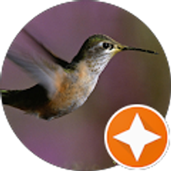 Profile photo of Debra Slack